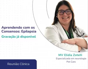 imagem-epilepsia-caes-gatos